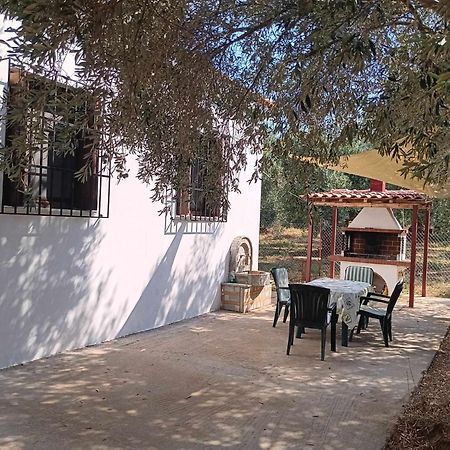 Το μικρό Σπίτι στον Ελαιώνα Βίλα Λεφόκαστρο Εξωτερικό φωτογραφία