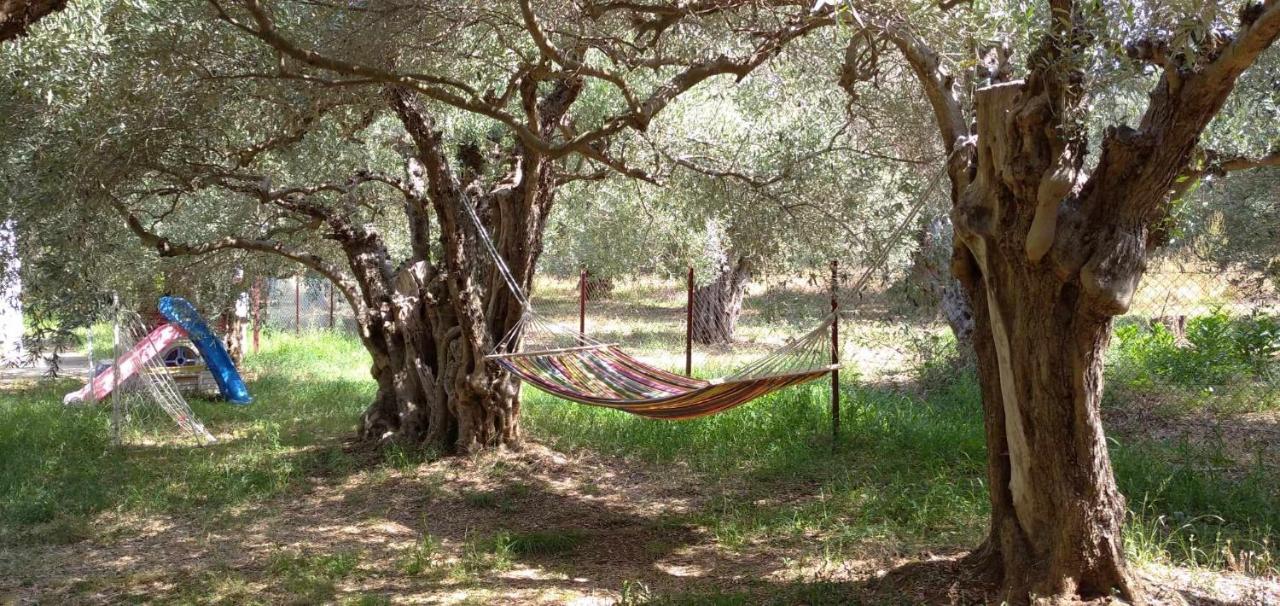 Το μικρό Σπίτι στον Ελαιώνα Βίλα Λεφόκαστρο Εξωτερικό φωτογραφία