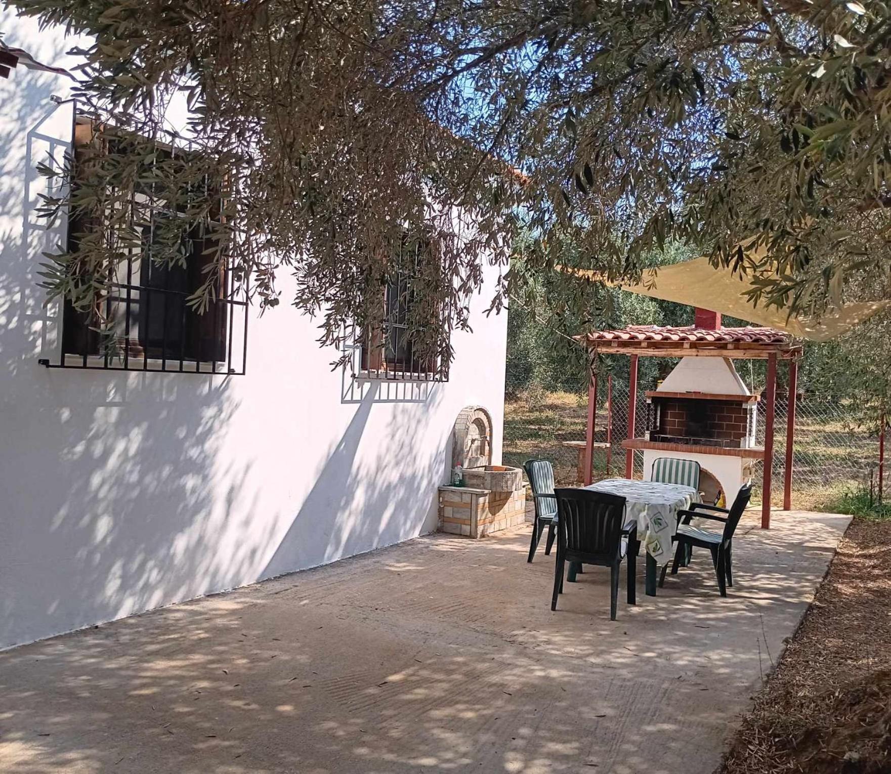 Το μικρό Σπίτι στον Ελαιώνα Βίλα Λεφόκαστρο Εξωτερικό φωτογραφία