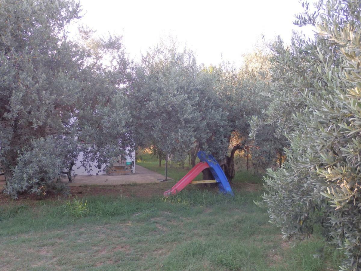 Το μικρό Σπίτι στον Ελαιώνα Βίλα Λεφόκαστρο Εξωτερικό φωτογραφία