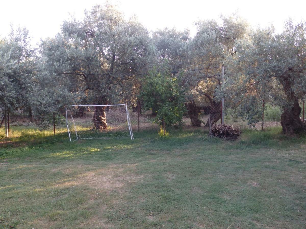 Το μικρό Σπίτι στον Ελαιώνα Βίλα Λεφόκαστρο Εξωτερικό φωτογραφία